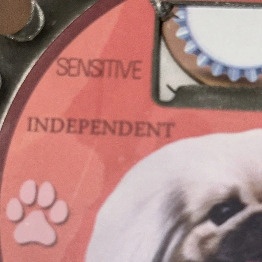 E&S Pets pekingese dog